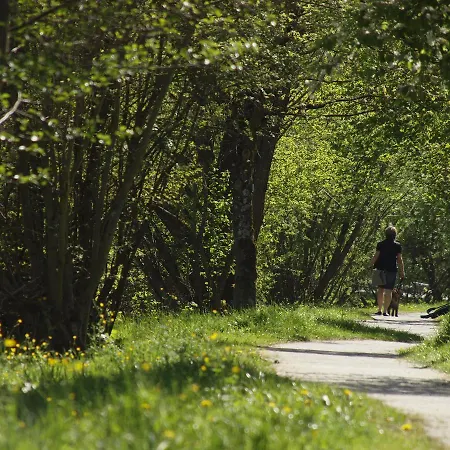 Sonne29 エーバーマンシュタット